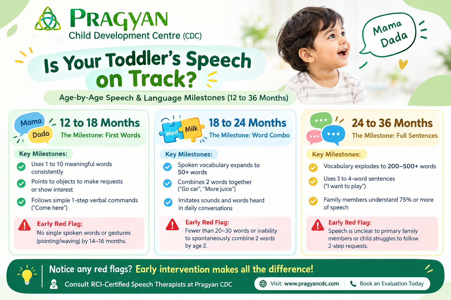 Toddler Speech Milestones Infographic